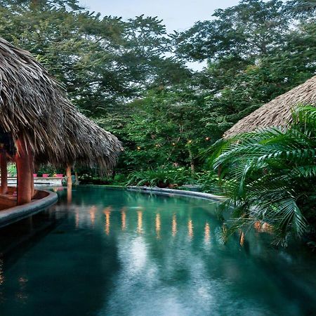The Space Jungle Oasis Сан-Хуан-дель-Сур Екстер'єр фото