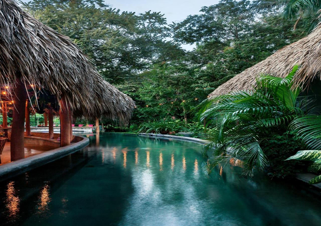 The Space Jungle Oasis Сан-Хуан-дель-Сур Екстер'єр фото